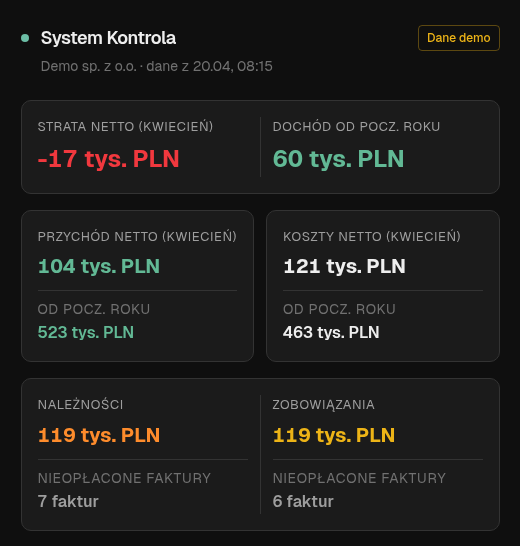 Widok właściciela: strata netto, dochód, przychód, koszty, należności i zobowiązania
